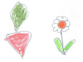 Zeichnung von einem roten Radieschen neben einer weißen Blume