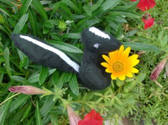 Eine Stinktierfigur sitzt im Gras vor einer Blume