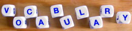 Buchstabenwürfel, aus denen das Wort „Vocabulary“ gelegt wurde